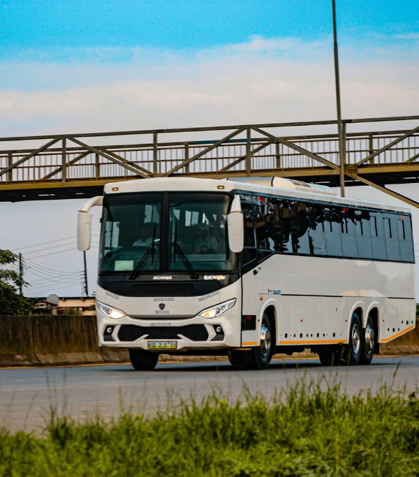 Bus Tours