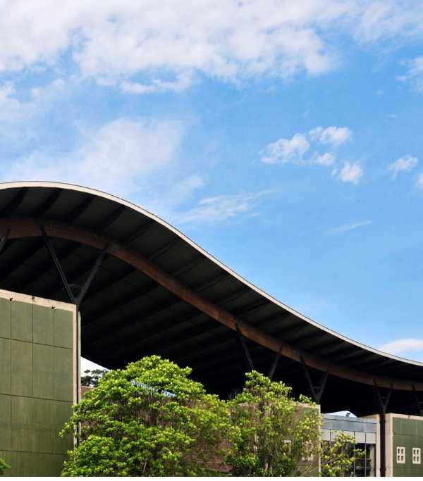 French Institute