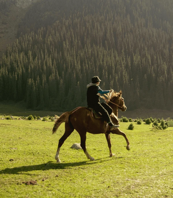 Horseback Riding