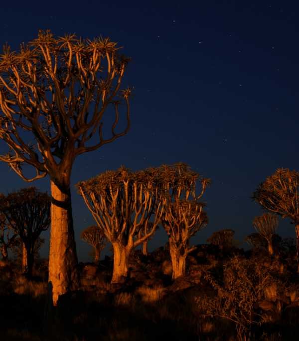Keetmanshoop