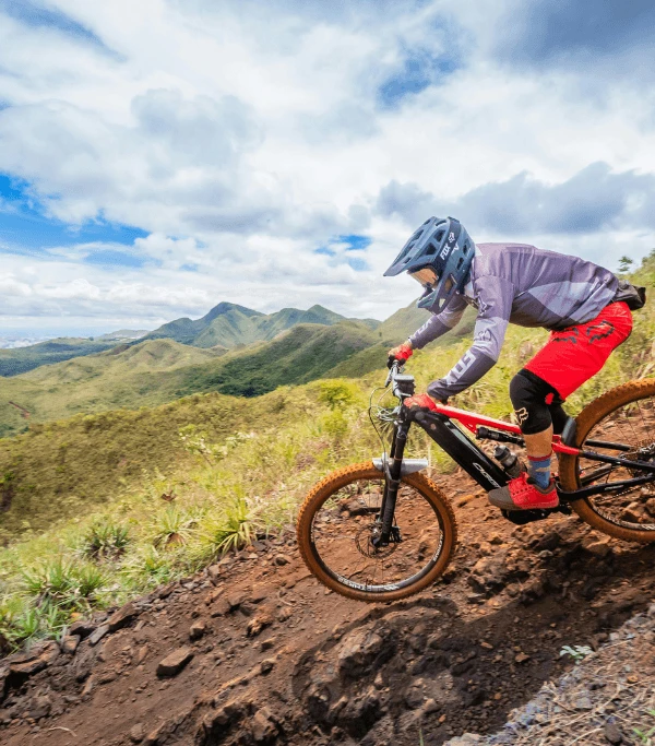 Mountain Biking & Cycling Tours