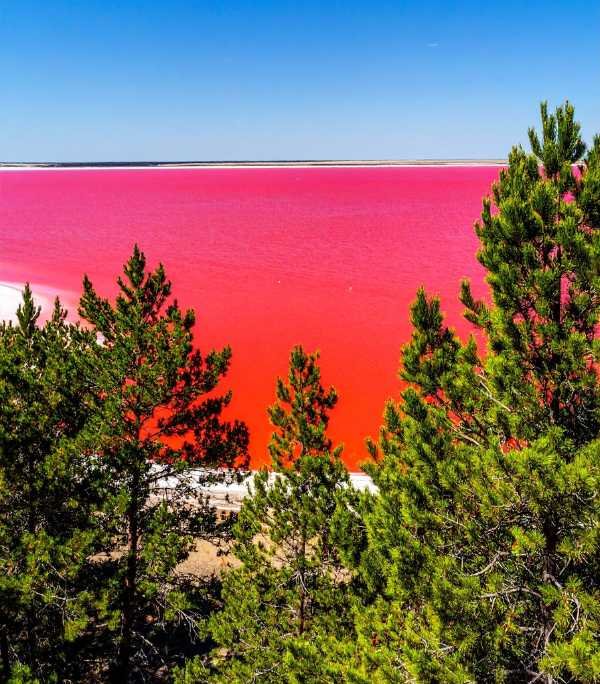 Pink Lake