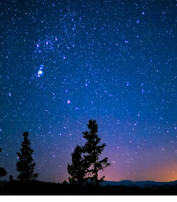 Star Gazing
