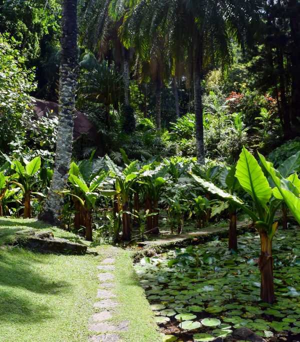 Victoria's Botanical Garden
