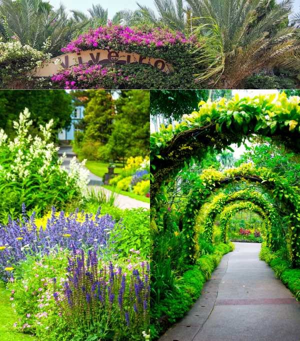Viveiro Botanical Garden