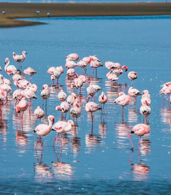 Walvis Bay