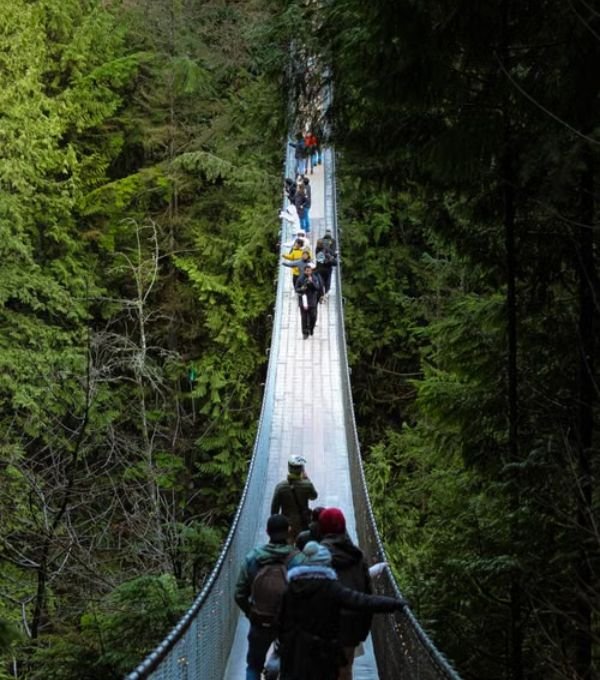 Capilano Suspension Bridge Park