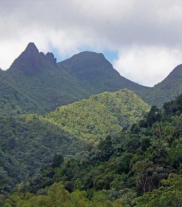 El Yunque National Forest