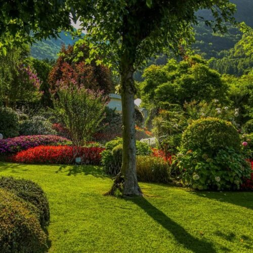 Huntes Garden