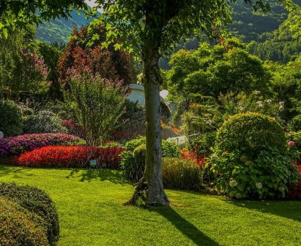 Huntes Garden