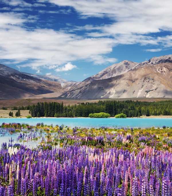 Lake Tekapo