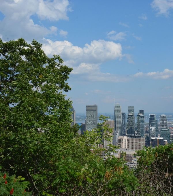 Mount Royal Park
