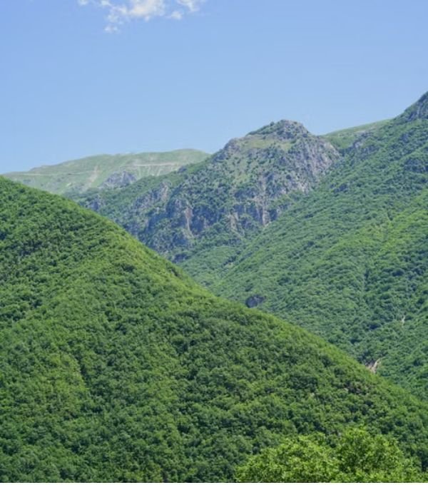 Mountain Of Vodno