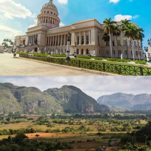 old havana