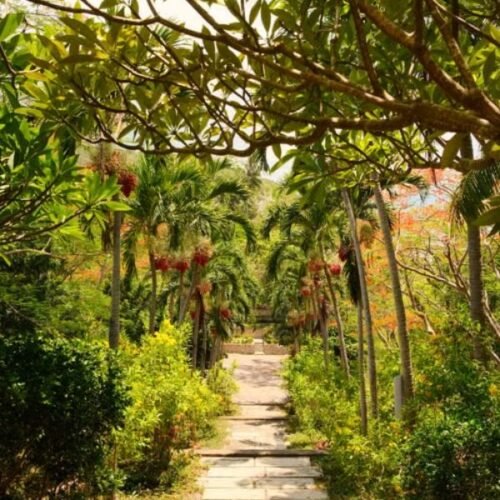 Palm Tree Gardens Botanical Garden