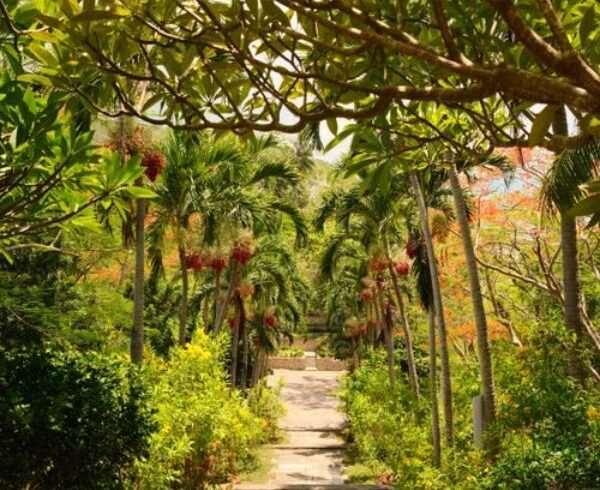 Palm Tree Gardens Botanical Garden