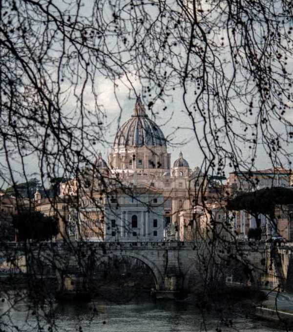 Portrait Roma