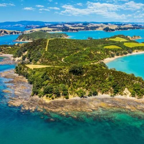 rotoroa island