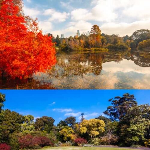 royal botanic gardens victoria