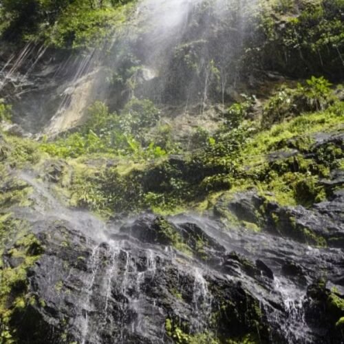 Seven Sisters Waterfalls Grenada