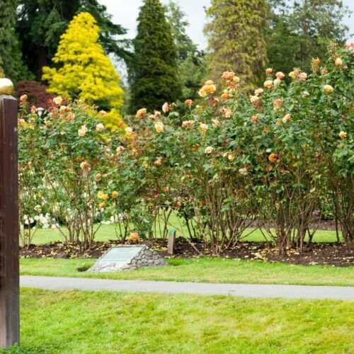 Stanley Park