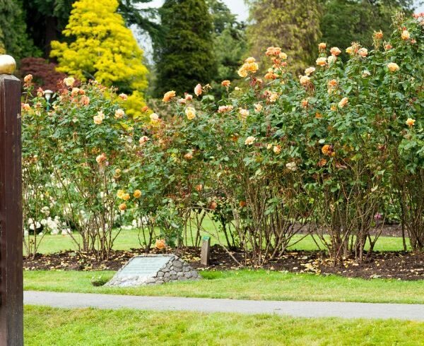 Stanley Park
