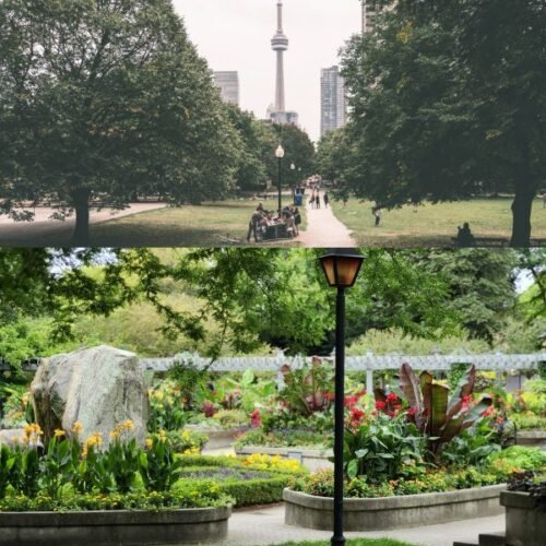 Toronto Island Park