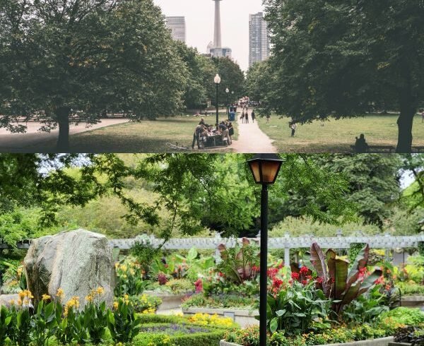 Toronto Island Park