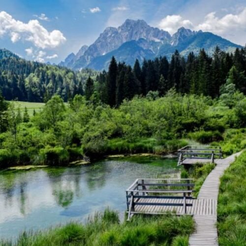 Triglav National
