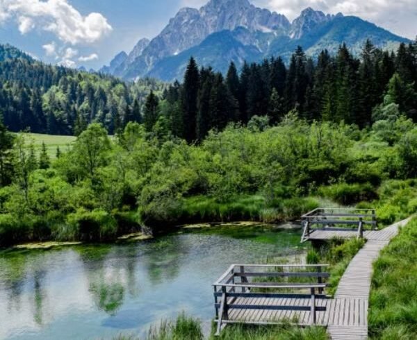 Triglav National