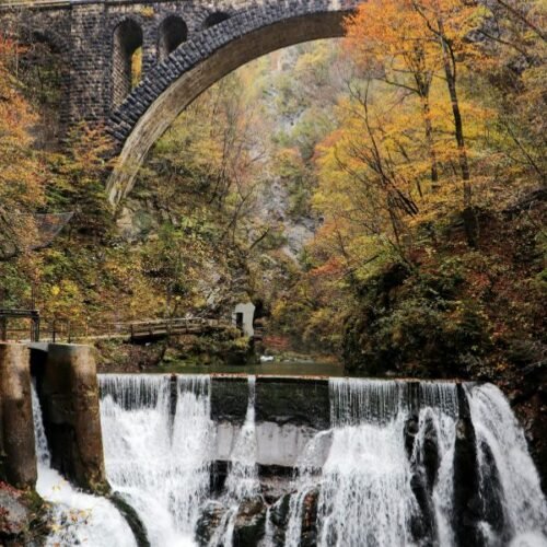 Vintgar Gorge