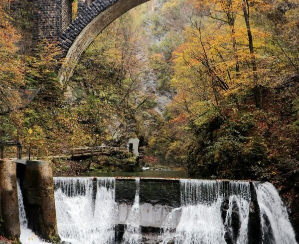 Vintgar Gorge