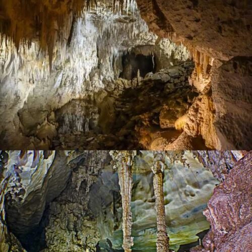 waitomo glowworm caves