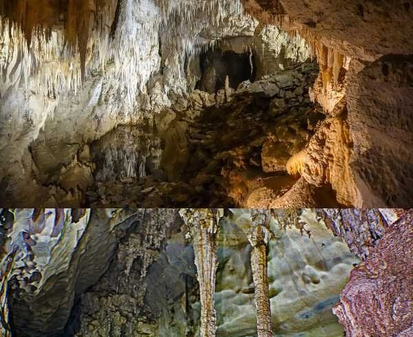 waitomo glowworm caves