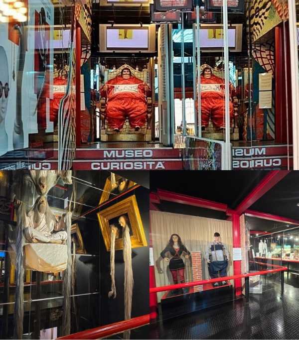 museum of curiosities