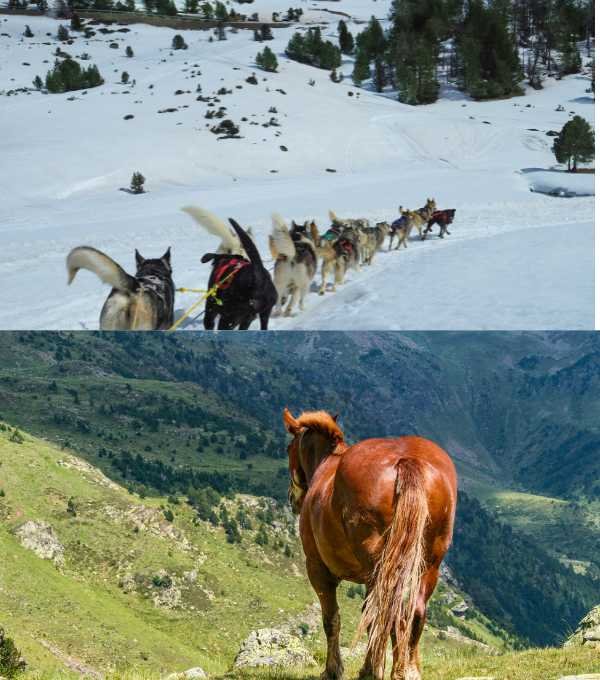 valle de incles